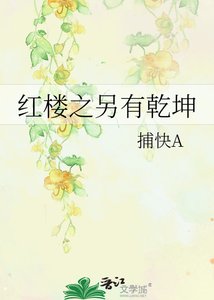 紅樓之另有乾坤