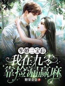 军婚三宝后,我在九零靠捡漏赢麻