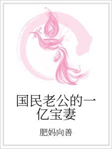 國民老公的一億寶妻